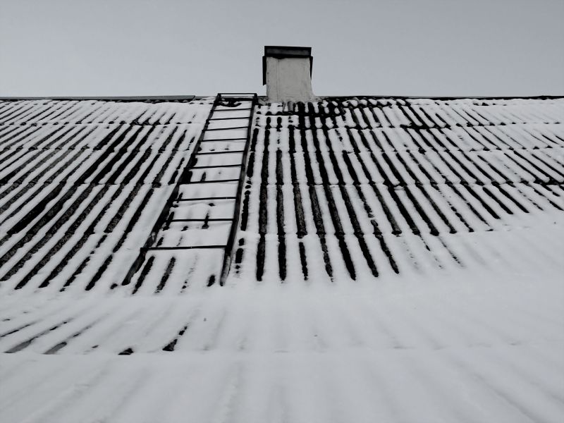 Snow Guard Installation in Kitsap County, WA